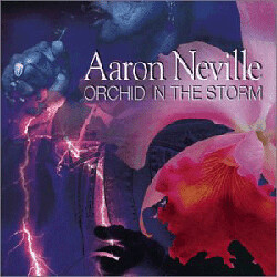 aaron orchid