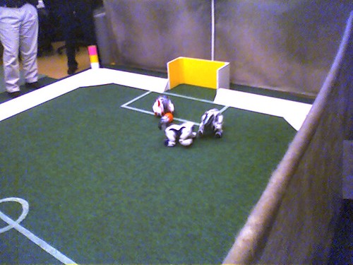 Robot dogs playing soccor