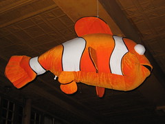 We found Nemo!