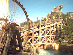 Grizzly mountain