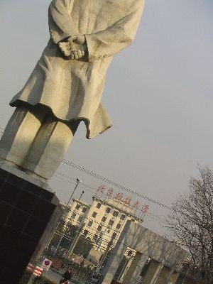 Mao looking at Mao