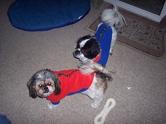 Nicky and Alex in their matching coats