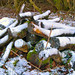Logs. Cold, Old, Logs.