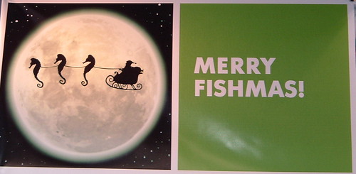merry fishmas!